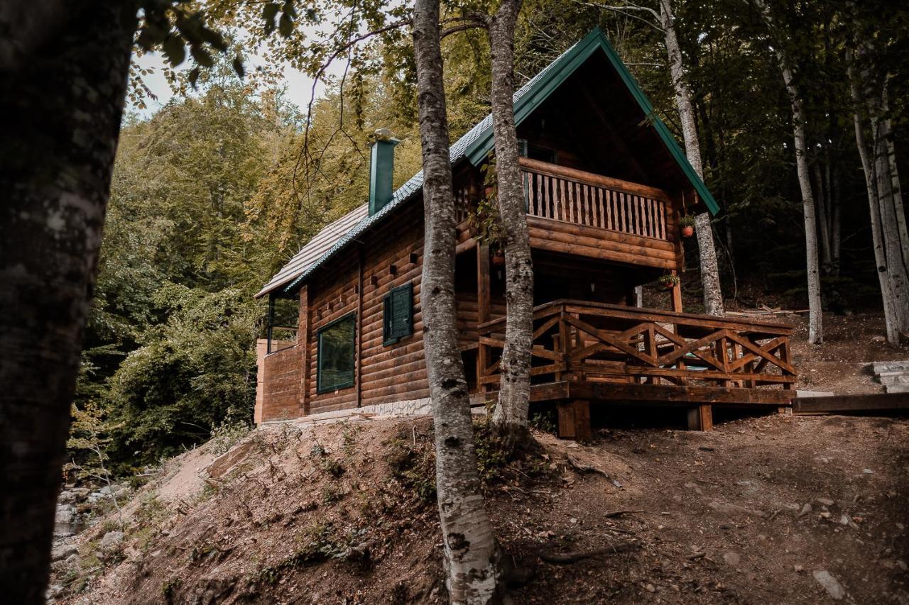 Black River Kolasin Ngoại thất bức ảnh